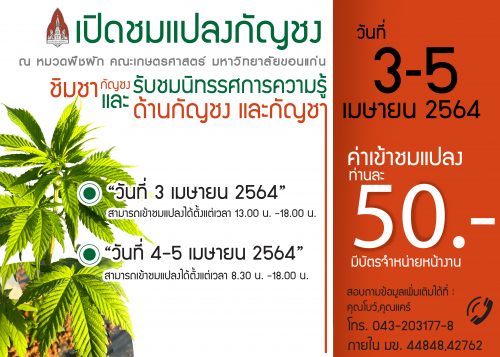สถาบันวิจัยแคนนาบิสครบศาสตร์ กองบริหารงานวิจัย และฝ่ายวิจัยและบัณฑิตศึกษา ขอเชิญผู้สนใจเข้าร่วมโครงการประชุมวิชาการ และงานเปิดแปลงกัญชง มข. “ร่วมคิด ร่วมฝัน ปลุกปั้น กัญชงไทย”